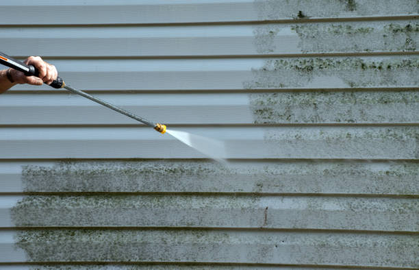 Best Sidewalk and Walkway Cleaning  in Medina, WA