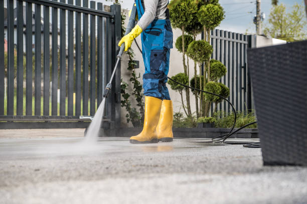 Best House Exterior Washing  in Medina, WA
