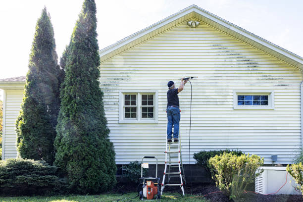 Paint Preparation in Medina, WA